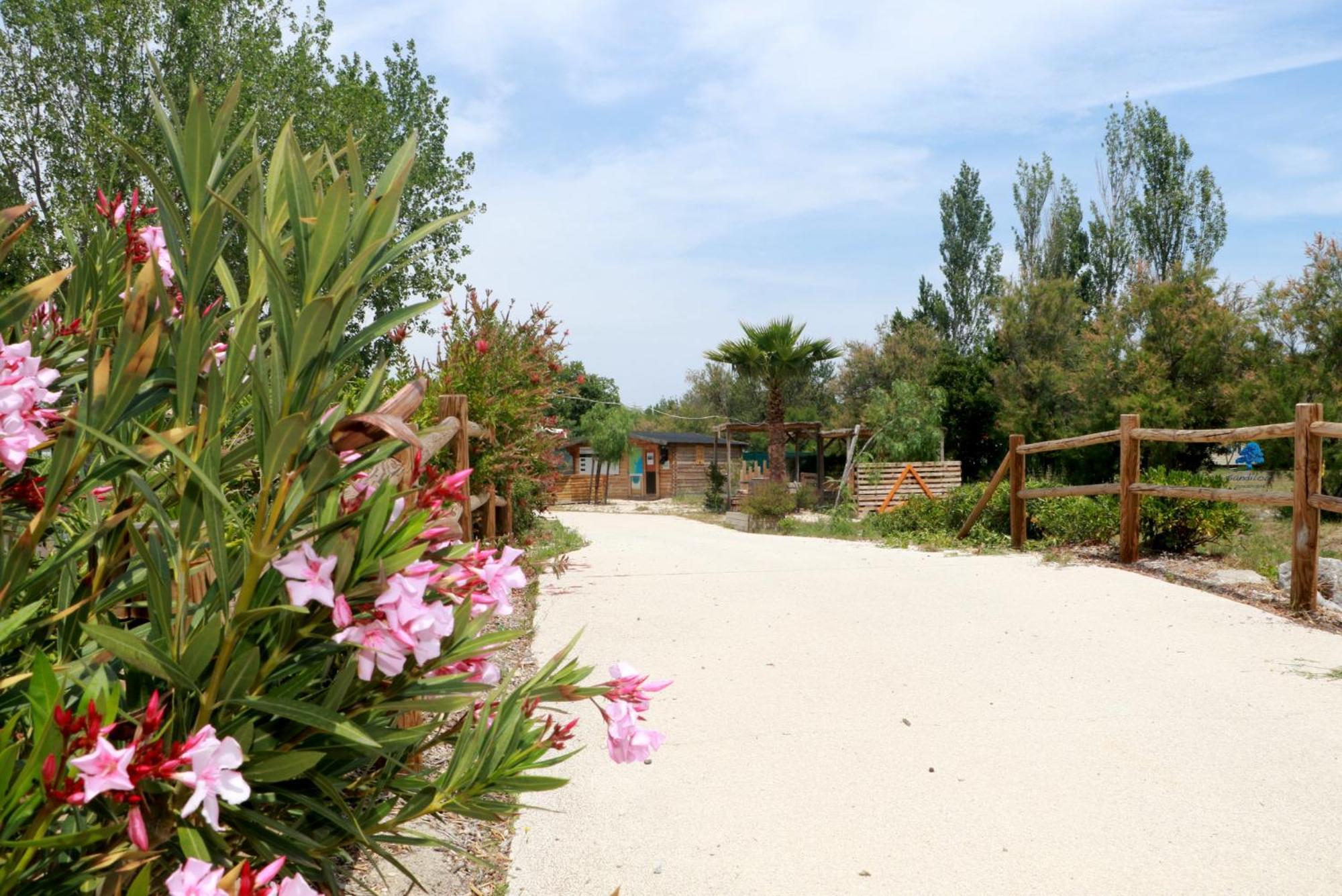 Sandilou Lespetitsbonheurs 2 Chambres Climatise Tv Sigean Zewnętrze zdjęcie